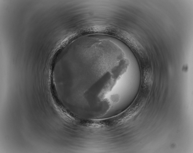 X0000098190542200804241247