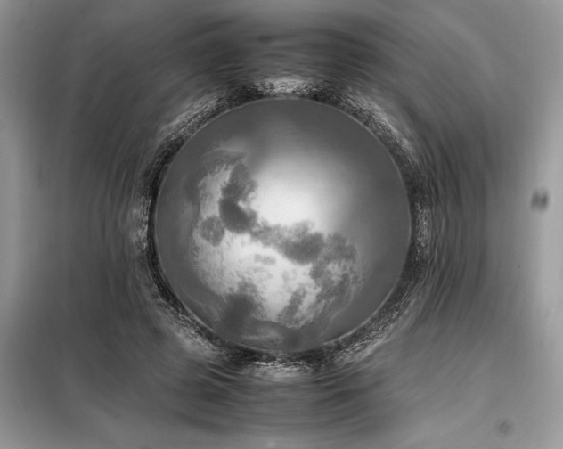 X0000098190545200804241247