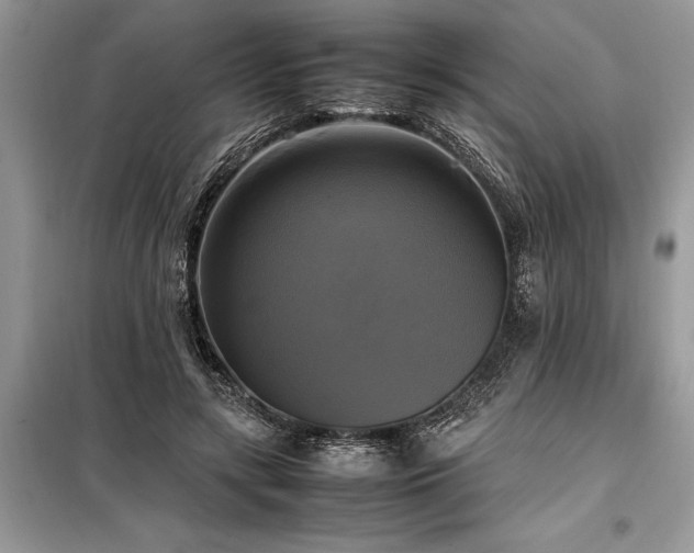 X0000098190547200804241247