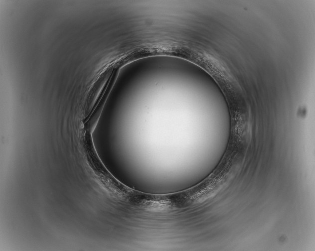X0000098190548200804241247