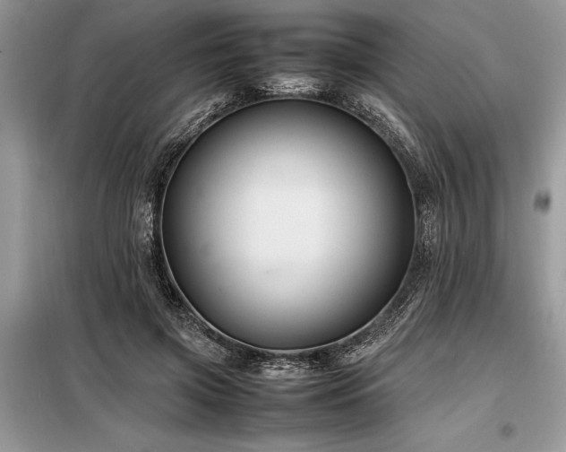 X0000098190549200804241247