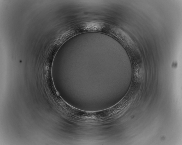 X0000098190551200804241247