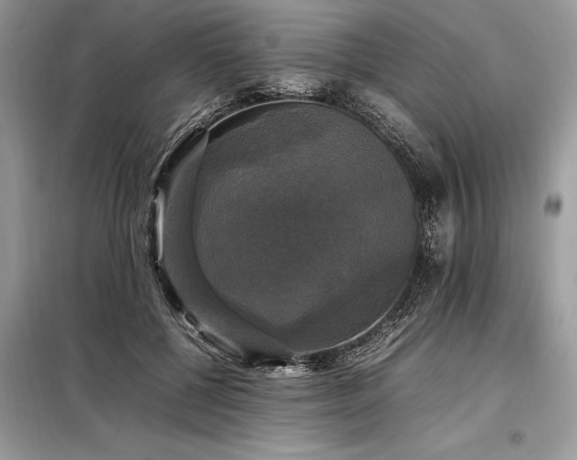 X0000098190552200804241247