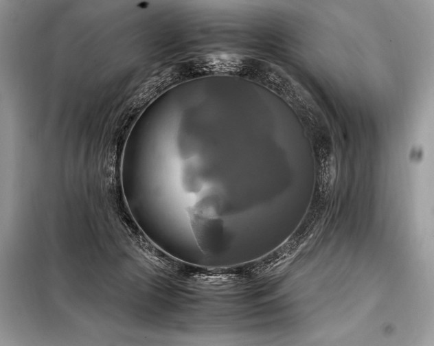 X0000098190553200804241247