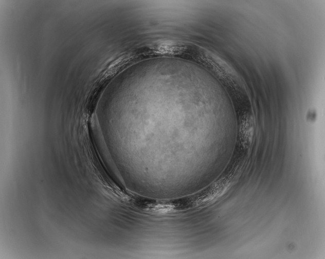 X0000098190554200804241247
