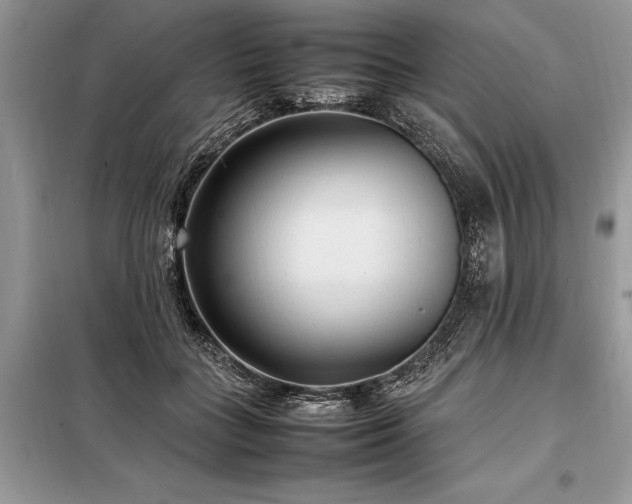 X0000098190555200804241247