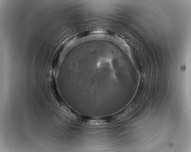 X0000098190556200804241247