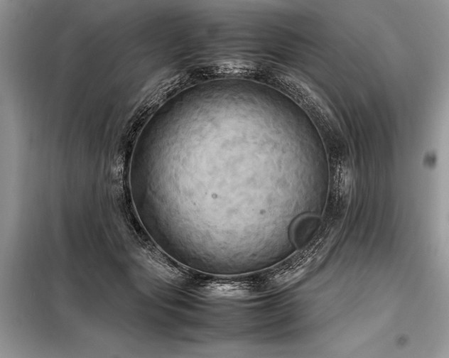 X0000098190557200804241247