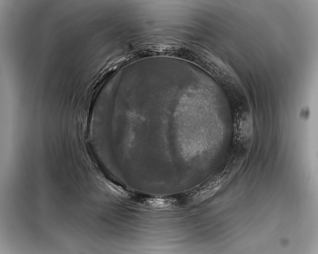 X0000098190558200804241247