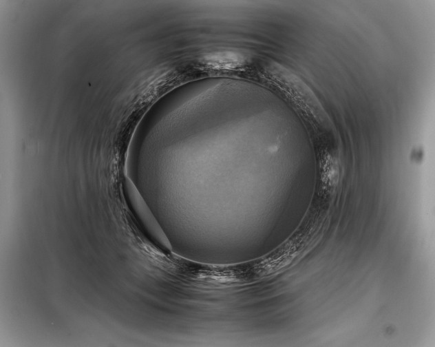 X0000098190559200804241247