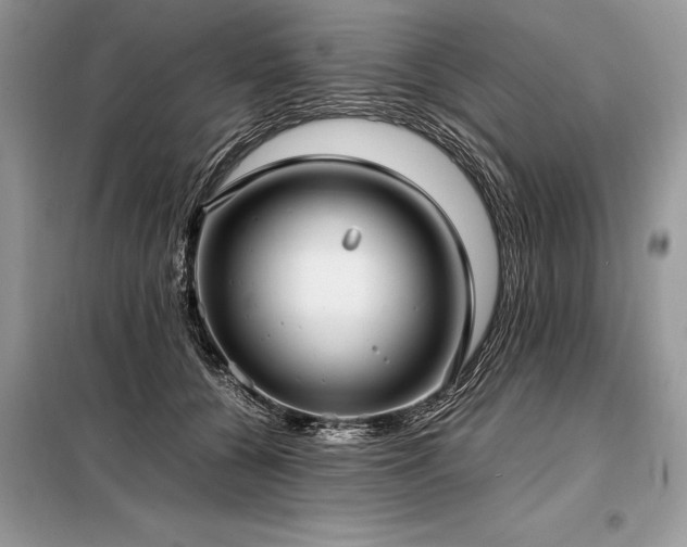 X0000098190560200804241247