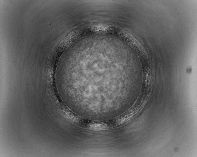 X0000098190561200804241247
