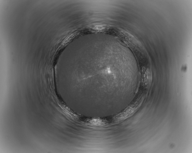 X0000098190562200804241247