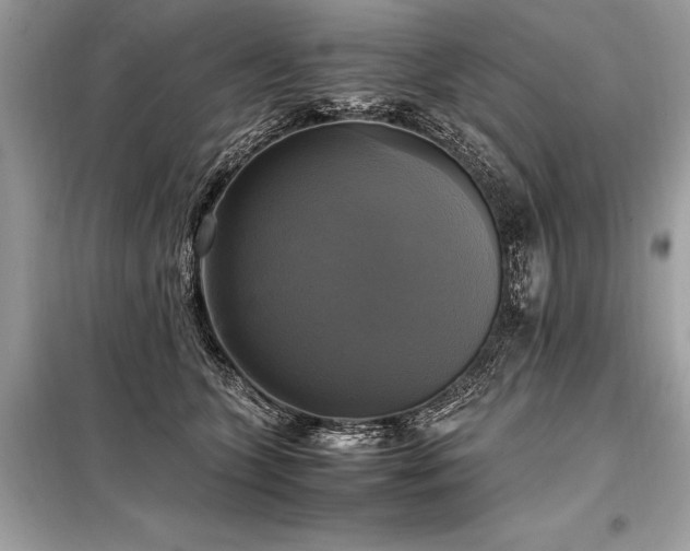 X0000098190563200804241247