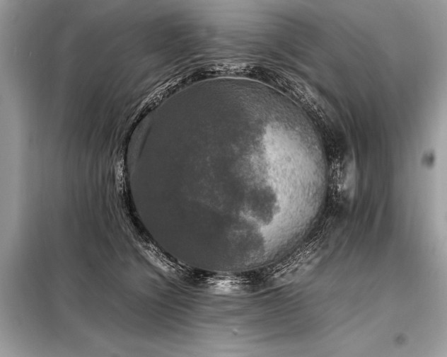 X0000098190564200804241247