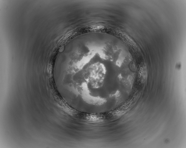 X0000098190565200804241247