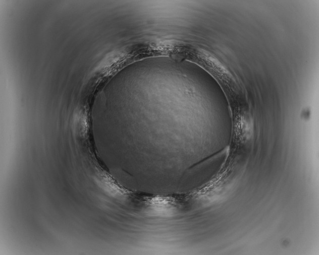 X0000098190566200804241247
