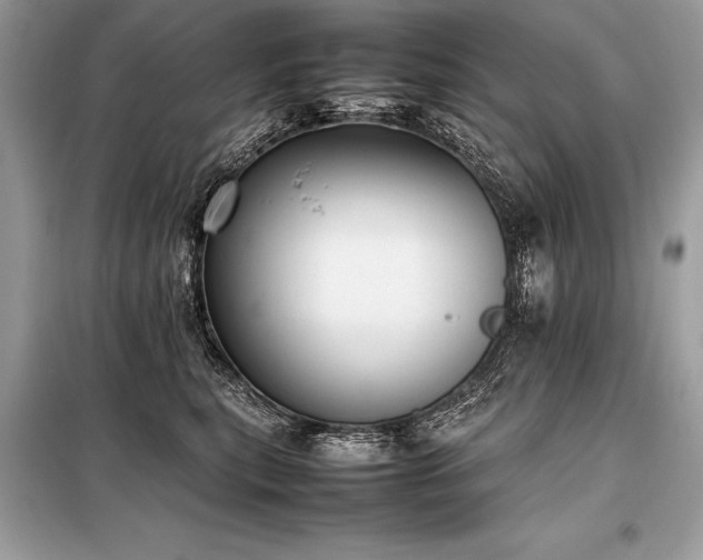 X0000098190567200804241247
