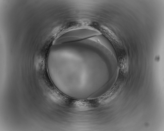 X0000098190568200804241247