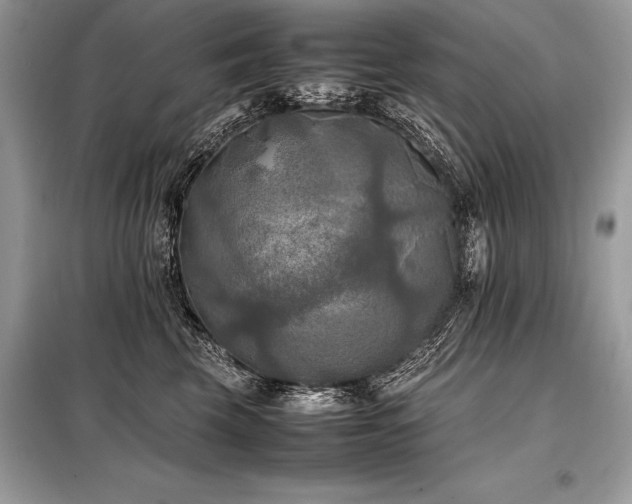 X0000098190569200804241247