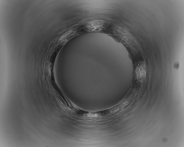 X0000098190570200804241247