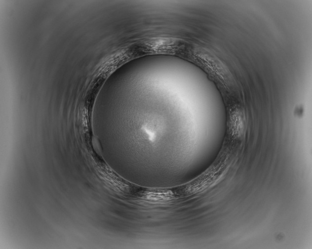 X0000098190571200804241247
