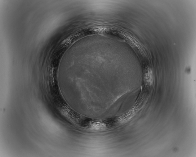 X0000098190572200804241247