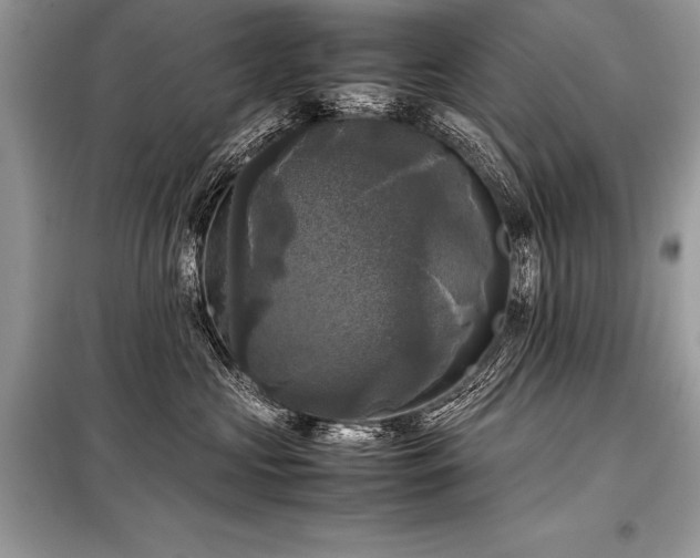 X0000098190573200804241247