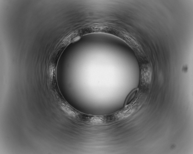 X0000098190574200804241247