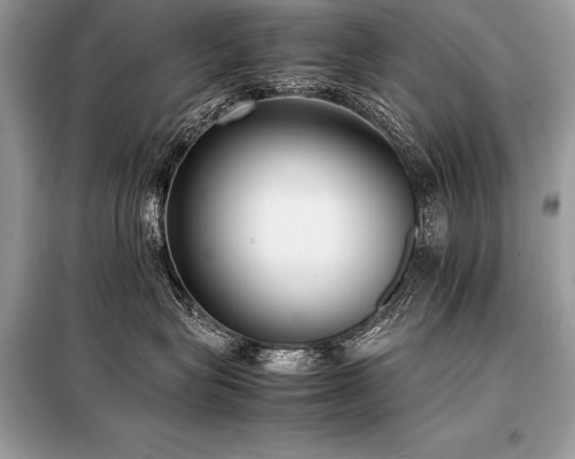 X0000098190575200804241247