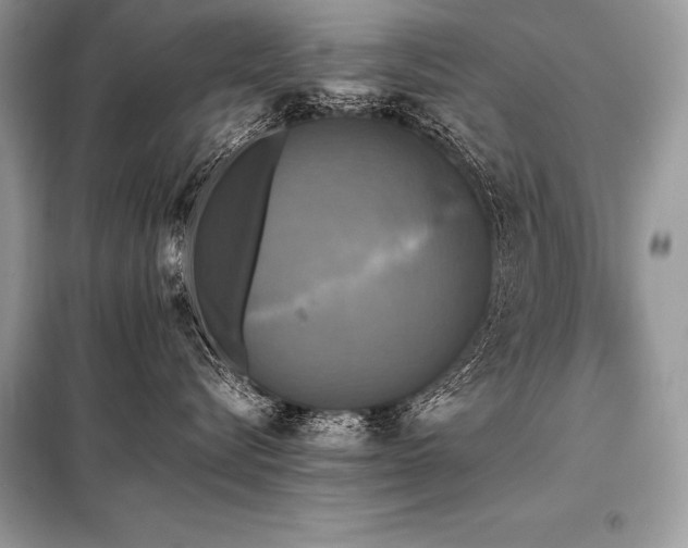 X0000098190576200804241247