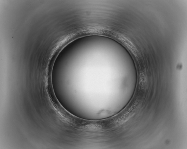 X0000098190578200804241247