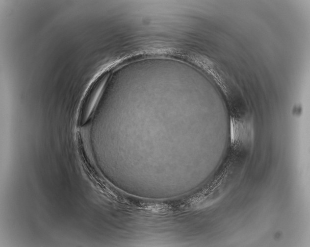 X0000098190579200804241247