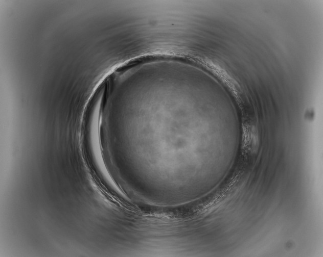 X0000098190580200804241247