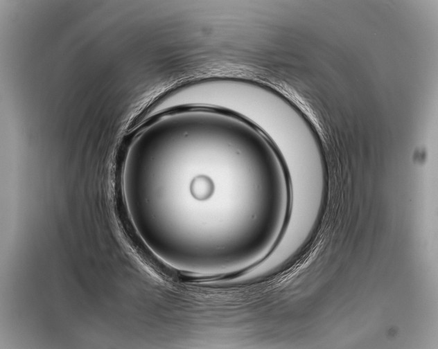 X0000098190581200804241247