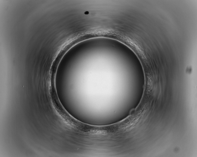 X0000098190582200804241247