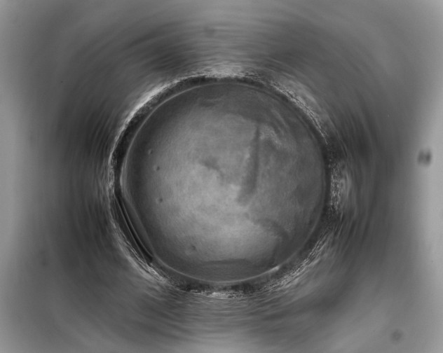 X0000098190584200804241247