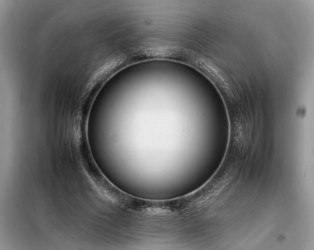 X0000098190586200804241247