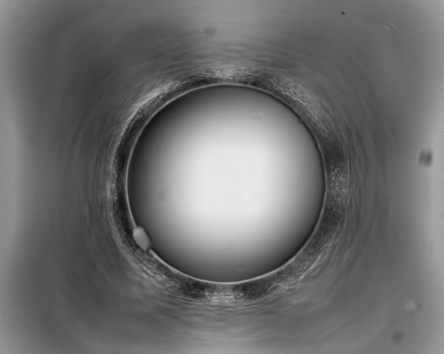 X0000098190587200804241247