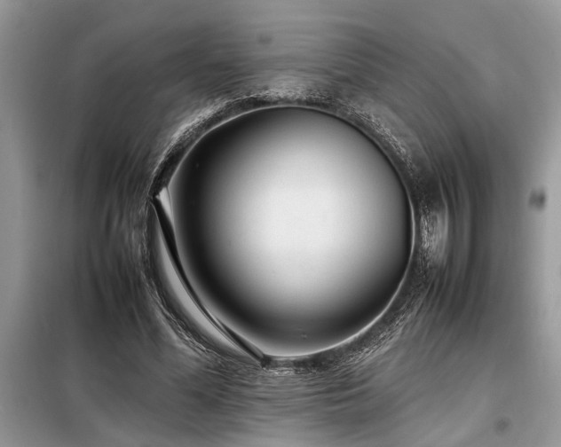 X0000098190588200804241247
