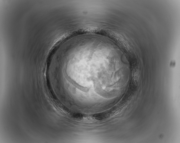 X0000098190591200804241247