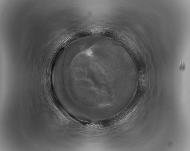 X0000098190593200804241246