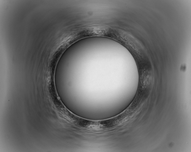 X0000098190595200804241246