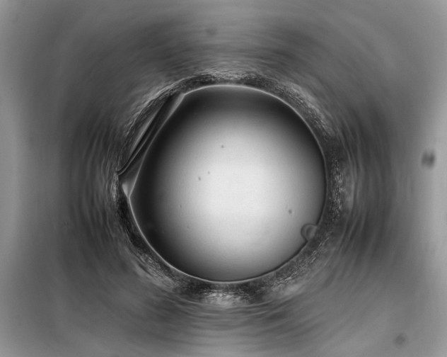 X0000098190596200804241246