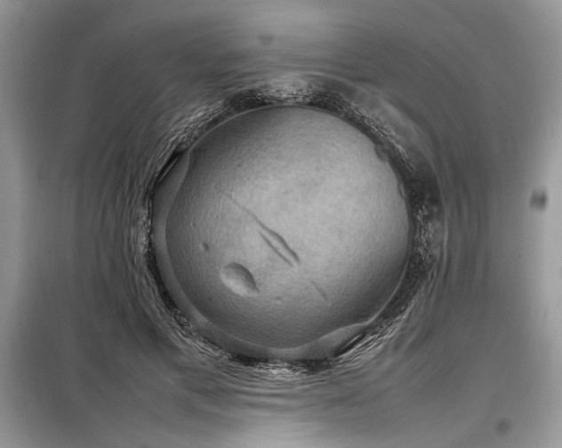 X0000098190597200804241246
