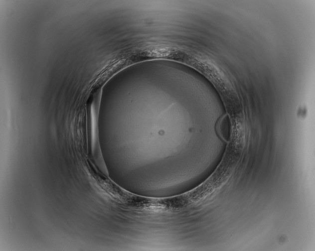 X0000098190598200804241246