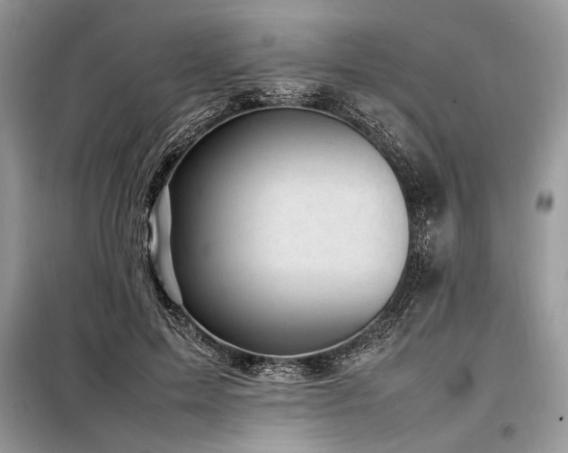 X0000098190599200804241246