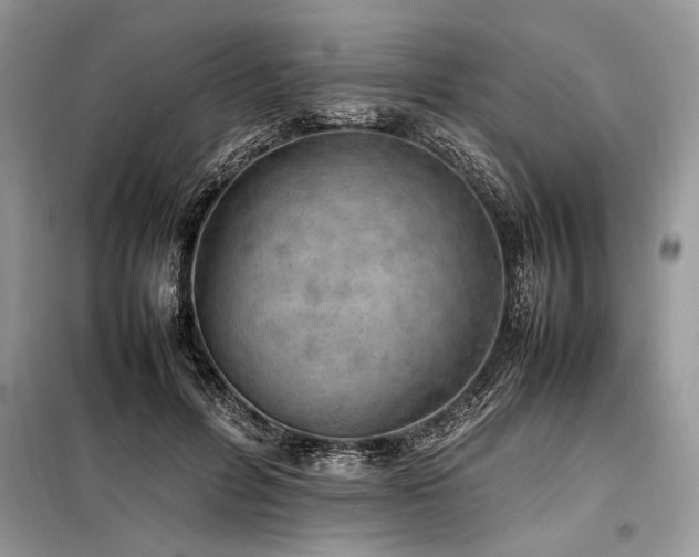 X0000098190600200804241246