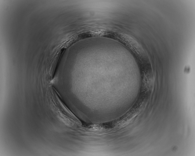 X0000098190601200804241246