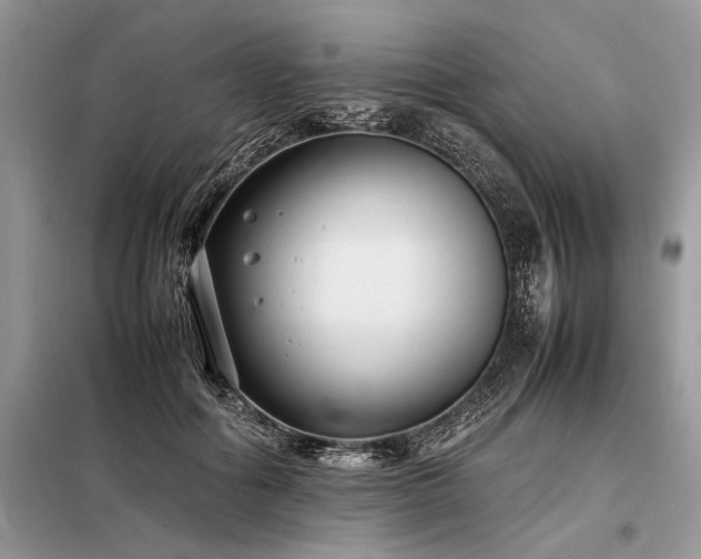 X0000098190602200804241246